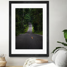 The asphalt road straight into the forest by Studio OMG on GIANT ART - green photo illustration