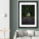 The asphalt road straight into the forest by Studio OMG on GIANT ART - green photo illustration