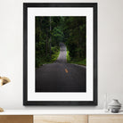 The asphalt road straight into the forest by Studio OMG on GIANT ART - green photo illustration