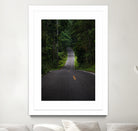 The asphalt road straight into the forest by Studio OMG on GIANT ART - green photo illustration