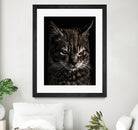 Creepy Kitten Portrait Photo Illustration by Daniel Ferreira-Leites on GIANT ART - black mixed media