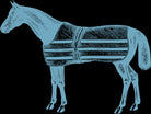 HORSE  LT BLUE by Thomas Fernez on GIANT ART - blue digital drawing