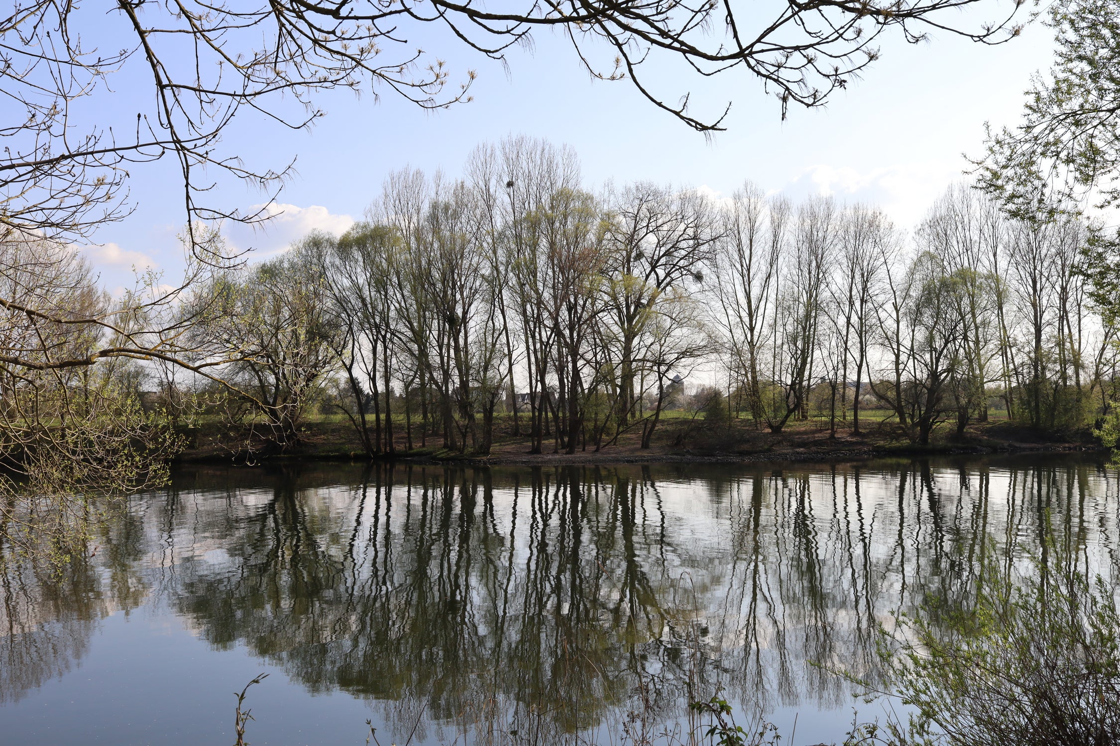 River reflection by Angeliki Antimisari on GIANT ART - green photo manipulation