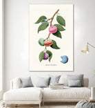 Macaron Plant by Jonas Loose on GIANT ART - green digital drawing