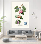 Macaron Plant by Jonas Loose on GIANT ART - green digital drawing