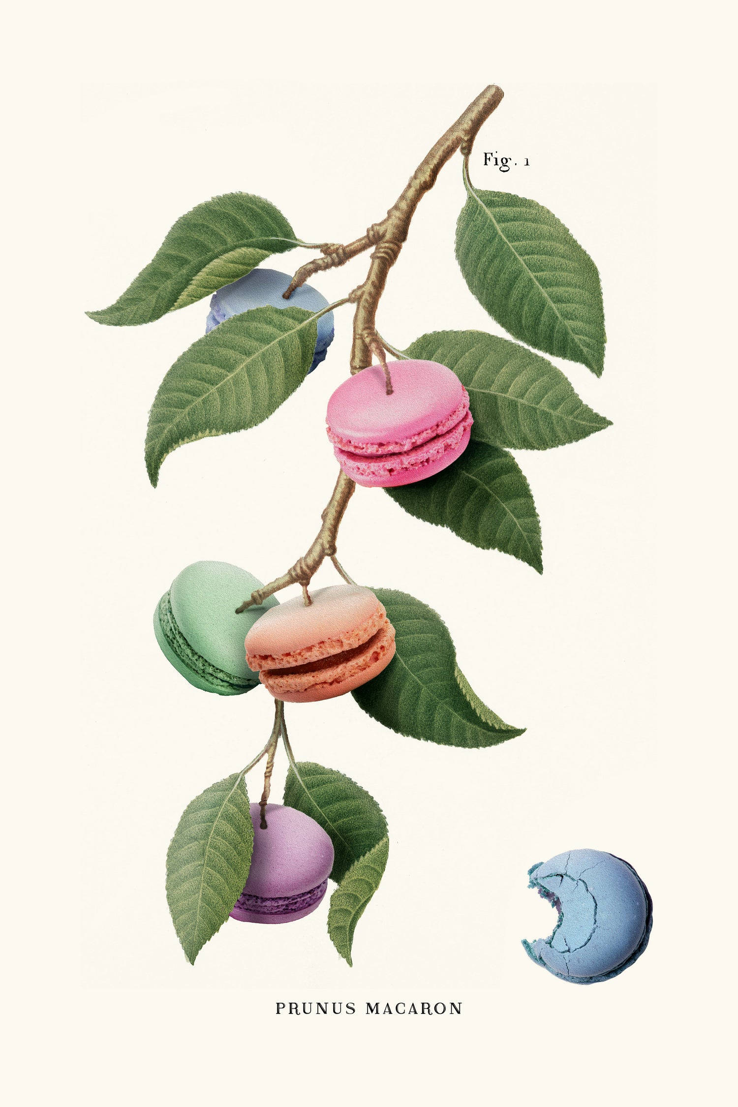 Macaron Plant by Jonas Loose on GIANT ART - green digital drawing