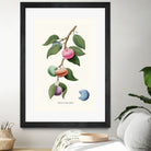 Macaron Plant by Jonas Loose on GIANT ART - green digital drawing