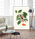 Sushi Plant by Jonas Loose on GIANT ART - green digital drawing