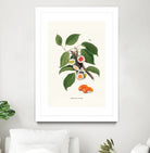 Sushi Plant by Jonas Loose on GIANT ART - green digital drawing