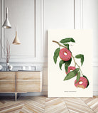 Donut Plant by Jonas Loose on GIANT ART - pink digital drawing
