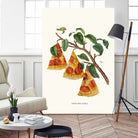 Pizza Plant by Jonas Loose on GIANT ART - orange digital drawing