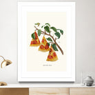 Pizza Plant by Jonas Loose on GIANT ART - orange digital drawing