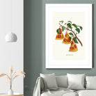 Pizza Plant by Jonas Loose on GIANT ART - orange digital drawing