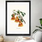 Pizza Plant by Jonas Loose on GIANT ART - orange digital drawing