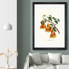 Pizza Plant by Jonas Loose on GIANT ART - orange digital drawing