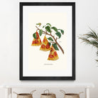 Pizza Plant by Jonas Loose on GIANT ART - orange digital drawing