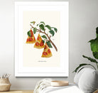 Pizza Plant by Jonas Loose on GIANT ART - orange digital drawing