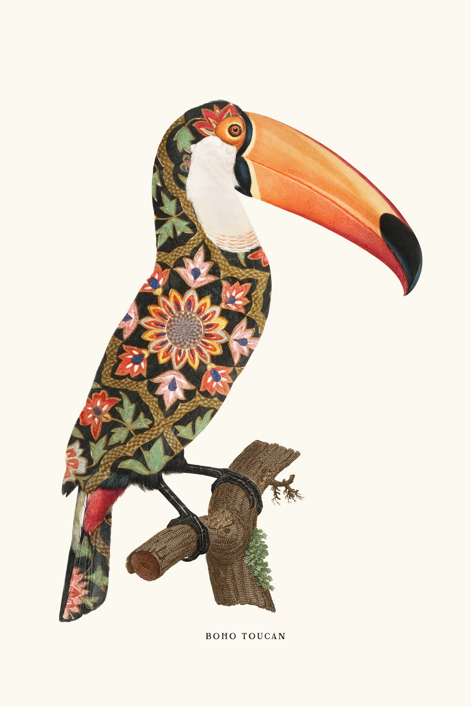 Boho Toucan by Jonas Loose on GIANT ART - orange digital drawing