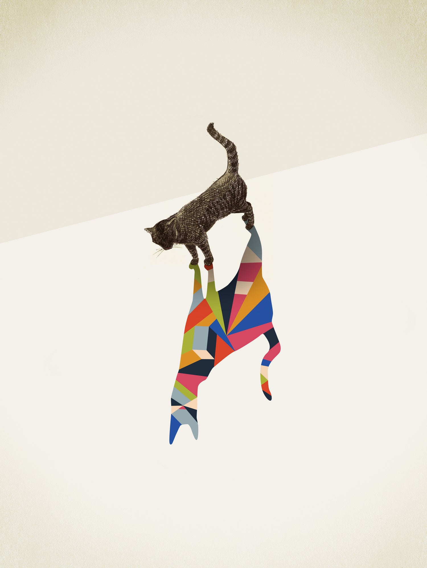 Walking Shadow, Cat by Jason Ratliff on GIANT ART - photo illustration