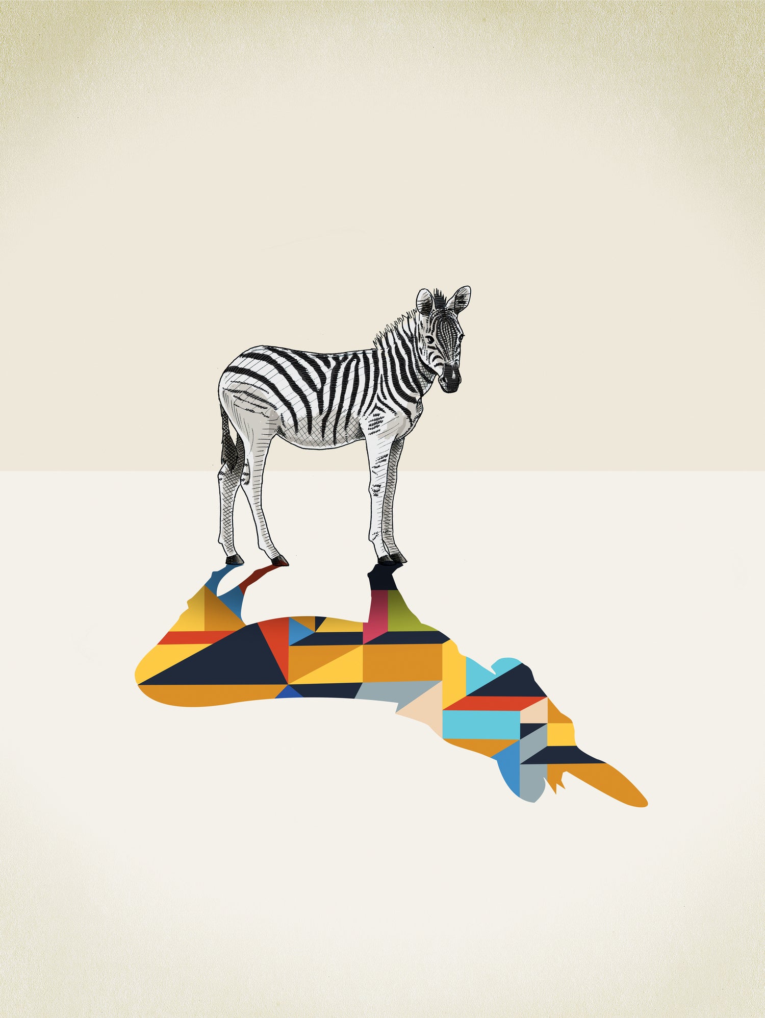 Walking Shadow, Zebra by Jason Ratliff on GIANT ART - photo illustration