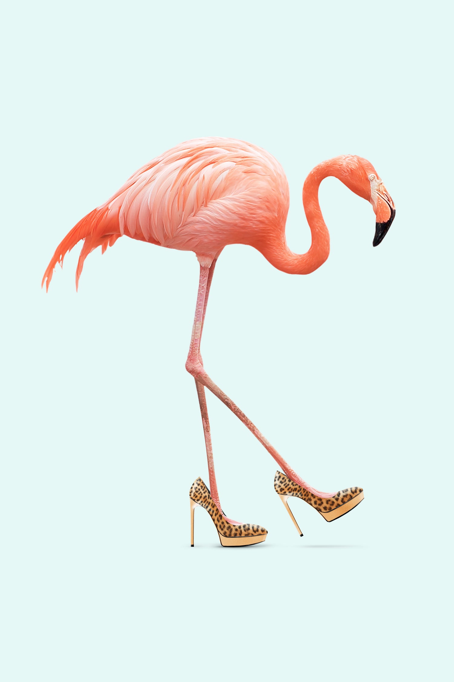 Fancy Flamingo by Jonas Loose on GIANT ART - blue photo manipulation