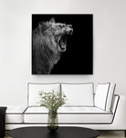 Lion in black and white by Lukas Holas on GIANT ART - black photo manipulation