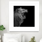 Lion in black and white by Lukas Holas on GIANT ART - black photo manipulation