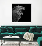 Lion in black and white by Lukas Holas on GIANT ART - black photo manipulation