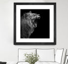 Lion in black and white by Lukas Holas on GIANT ART - black photo manipulation