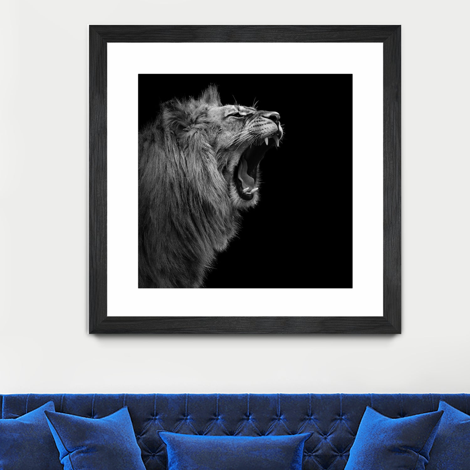 Lion in black and white by Lukas Holas on GIANT ART - black photo manipulation