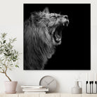 Lion in black and white by Lukas Holas on GIANT ART - black photo manipulation