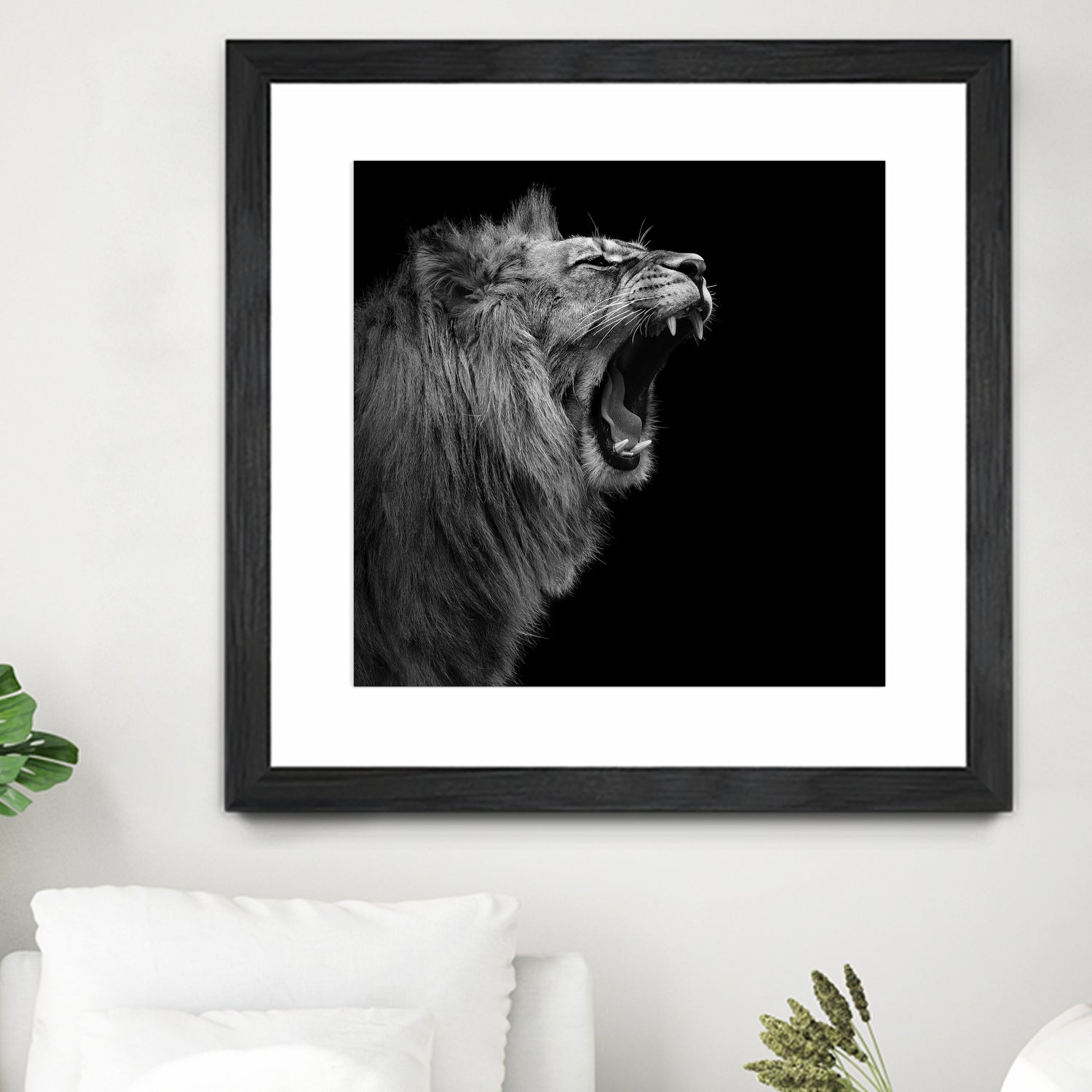 Lion in black and white by Lukas Holas on GIANT ART - black photo manipulation