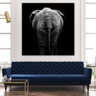 Elephant In Black And White by Lukas Holas on GIANT ART - black photo manipulation