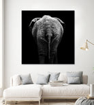 Elephant In Black And White by Lukas Holas on GIANT ART - black photo manipulation