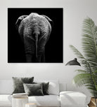 Elephant In Black And White by Lukas Holas on GIANT ART - black photo manipulation