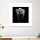 Elephant In Black And White by Lukas Holas on GIANT ART - black photo manipulation