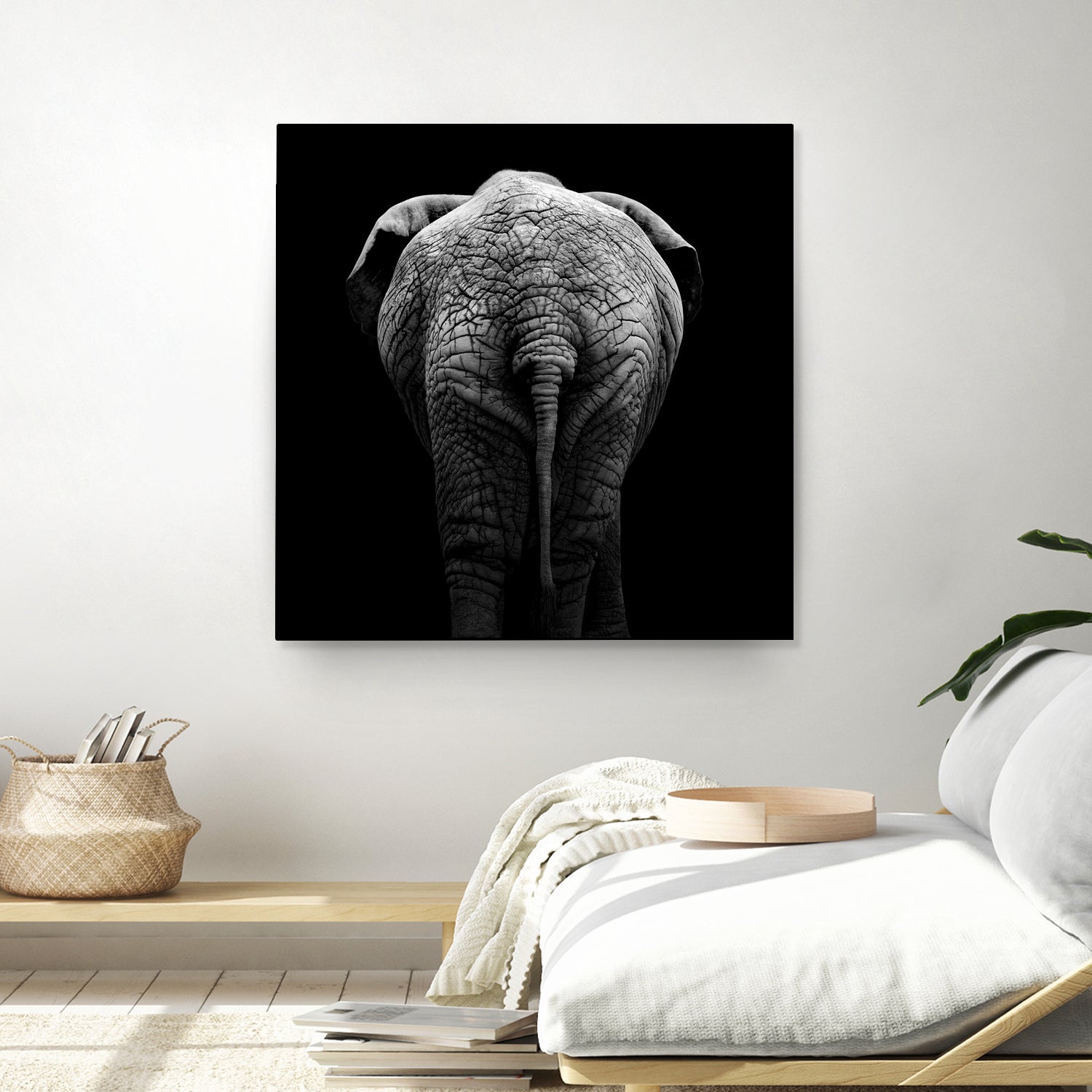 Elephant In Black And White by Lukas Holas on GIANT ART - black photo manipulation