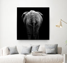 Elephant In Black And White by Lukas Holas on GIANT ART - black photo manipulation