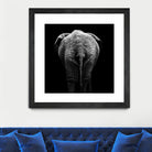 Elephant In Black And White by Lukas Holas on GIANT ART - black photo manipulation