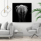 Elephant In Black And White by Lukas Holas on GIANT ART - black photo manipulation