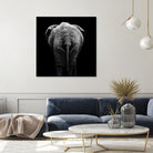 Elephant In Black And White by Lukas Holas on GIANT ART - black photo manipulation