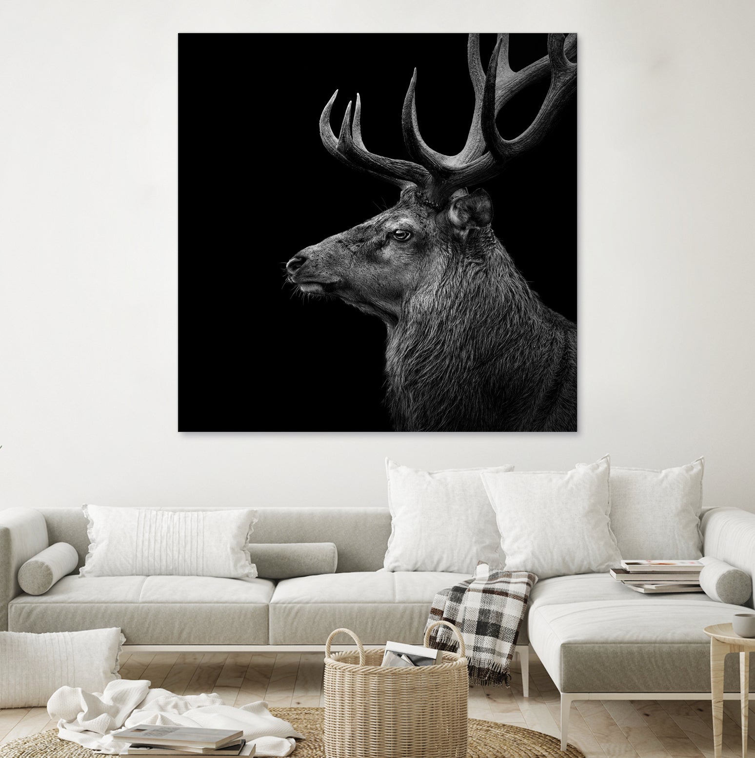 Deer In Black And White by Lukas Holas on GIANT ART - black photo manipulation