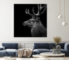 Deer In Black And White by Lukas Holas on GIANT ART - black photo manipulation