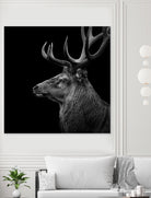 Deer In Black And White by Lukas Holas on GIANT ART - black photo manipulation