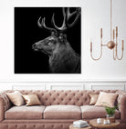 Deer In Black And White by Lukas Holas on GIANT ART - black photo manipulation