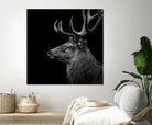 Deer In Black And White by Lukas Holas on GIANT ART - black photo manipulation