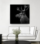 Deer In Black And White by Lukas Holas on GIANT ART - black photo manipulation