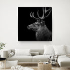 Deer In Black And White by Lukas Holas on GIANT ART - black photo manipulation