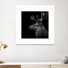 Deer In Black And White by Lukas Holas on GIANT ART - black photo manipulation