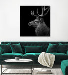 Deer In Black And White by Lukas Holas on GIANT ART - black photo manipulation